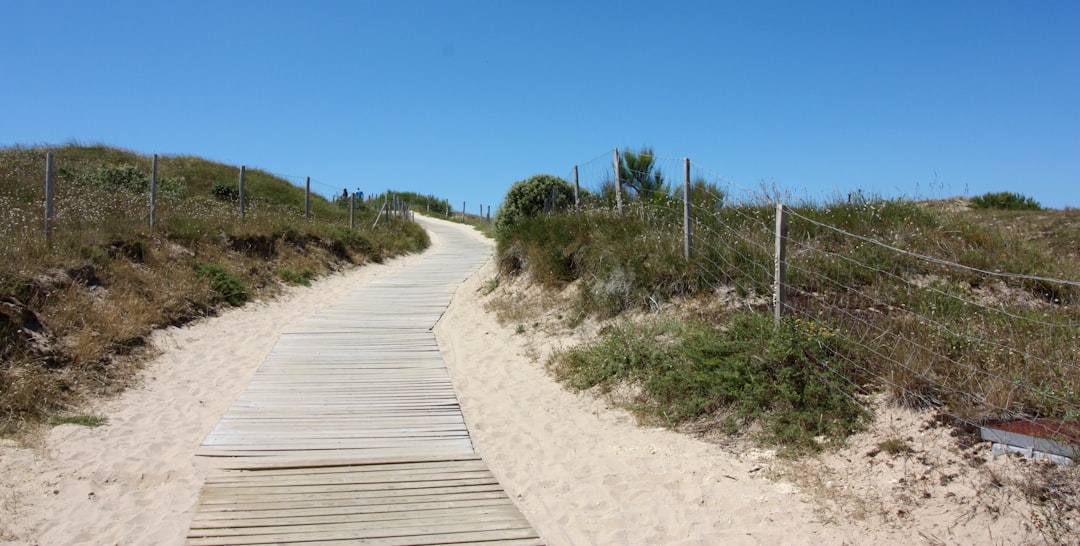 The Bondi to Coogee Coastal Walk: A Step-by-Step Guide