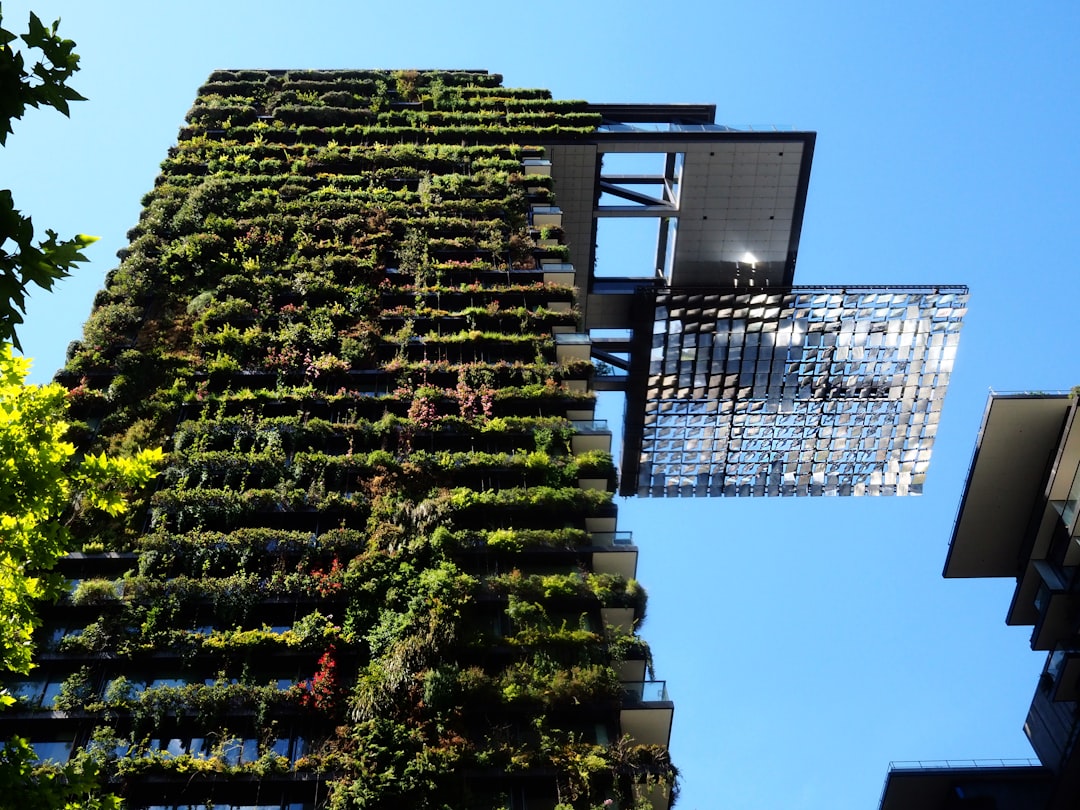 Sustainable Stays: Sydney's Top Eco-Friendly Hotels and Accommodations
