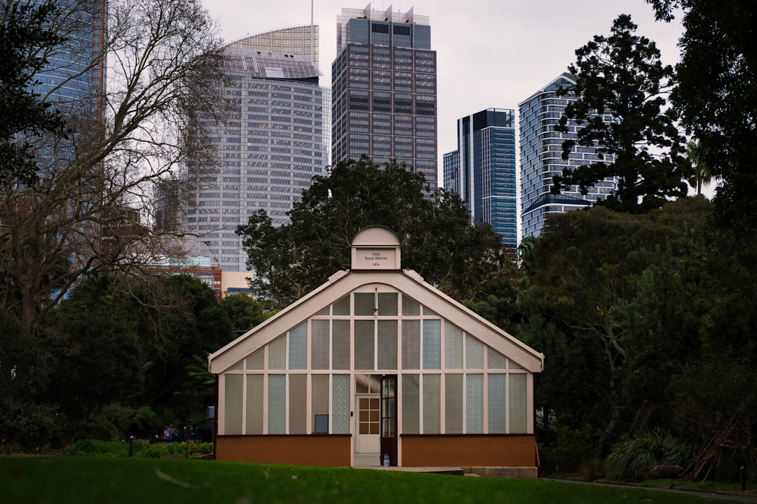Exploring Sydney's Royal Botanic Garden: A Guide to the Highlights