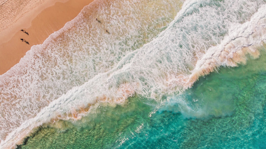 Wake Up to the Waves: Best Beachside Accommodation in Bondi