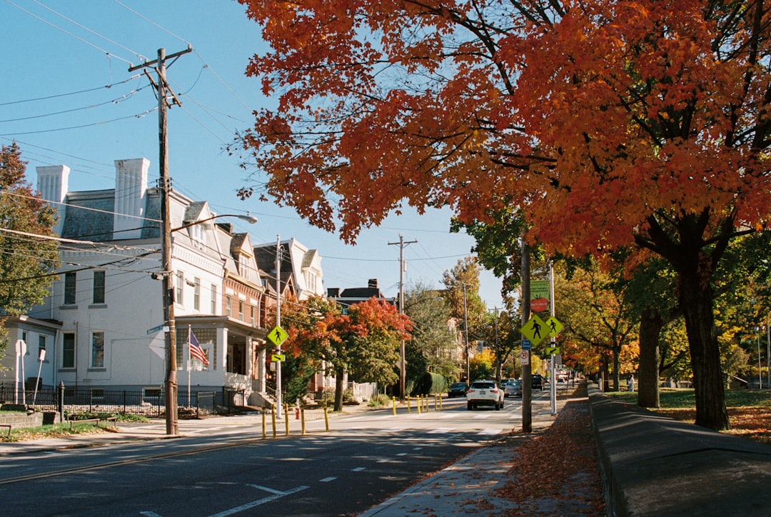 Eating Your Way Through Newtown: A Local's Guide