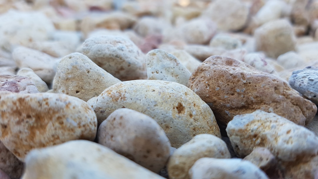 Exploring The Rocks Markets: A Weekend Tradition