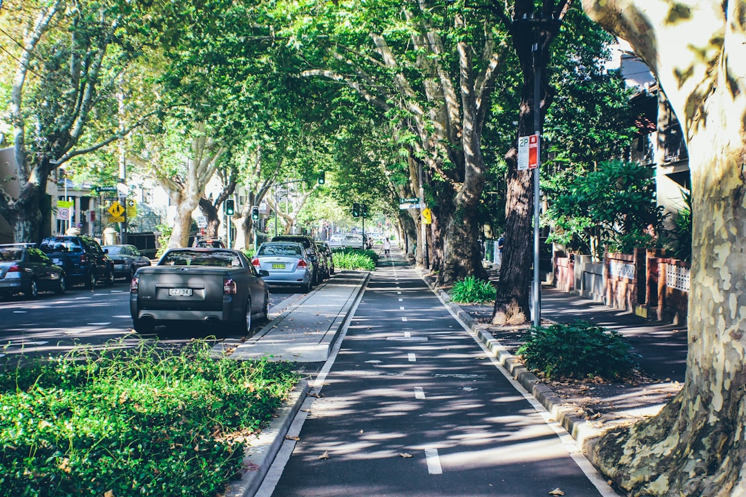 A Food Lover's Guide to Surry Hills' Culinary Scene