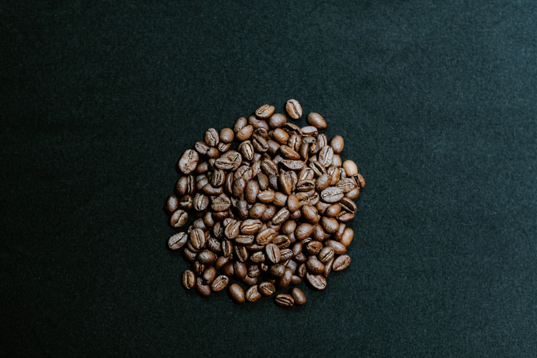 A Guide to Buying High-Quality Vietnamese Coffee Beans